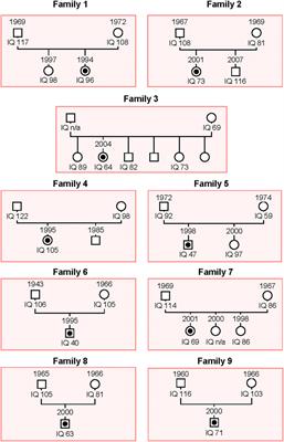 A Pilot Study on Early-Onset Schizophrenia Reveals the Implication of Wnt, Cadherin and Cholecystokinin Receptor Signaling in Its Pathophysiology